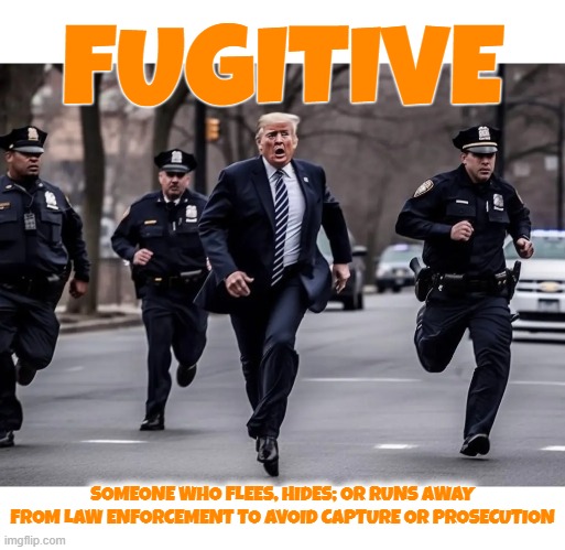 FUGITIVE | FUGITIVE; SOMEONE WHO FLEES, HIDES; OR RUNS AWAY FROM LAW ENFORCEMENT TO AVOID CAPTURE OR PROSECUTION | image tagged in fugitive,hide,run away,law enforcement,justice,criminal | made w/ Imgflip meme maker