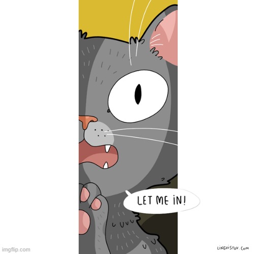 A Cats Way Of Thinking | image tagged in memes,comics/cartoons,cats,outside,window,let me in | made w/ Imgflip meme maker