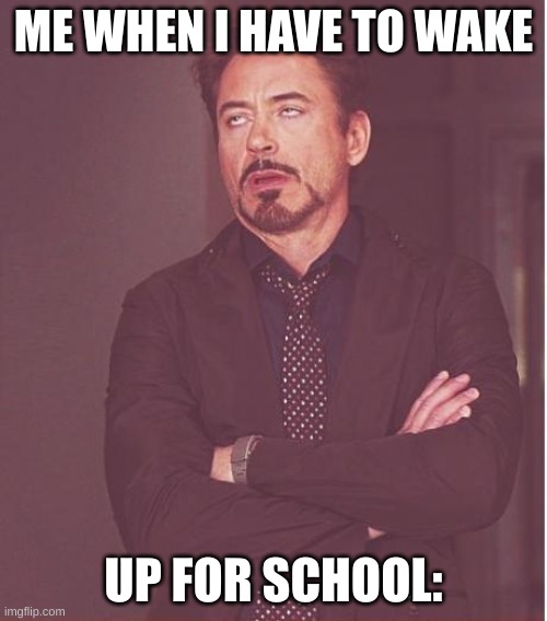 Face You Make Robert Downey Jr | ME WHEN I HAVE TO WAKE; UP FOR SCHOOL: | image tagged in memes,face you make robert downey jr | made w/ Imgflip meme maker