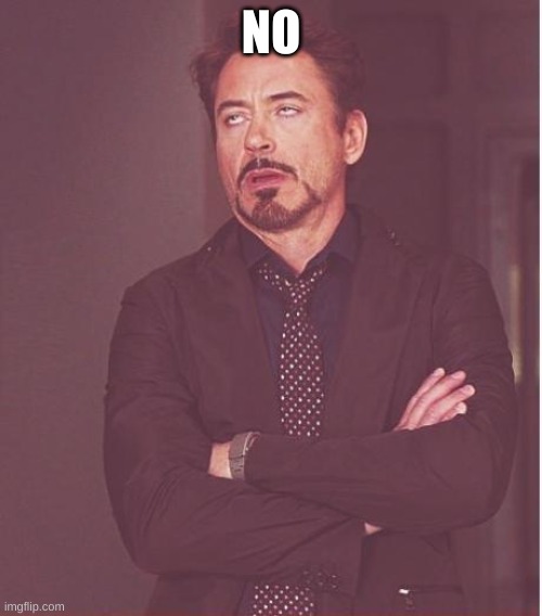 no | NO | image tagged in memes,face you make robert downey jr | made w/ Imgflip meme maker