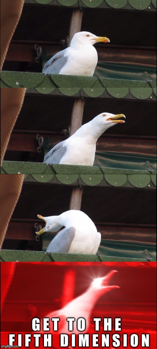 Inhaling Seagull | G E T   T O   T H E   F I F T H   D I M E N S I O N | image tagged in memes,inhaling seagull | made w/ Imgflip meme maker