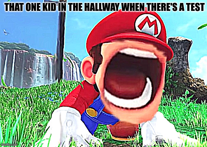 AAAAAAAAA | THAT ONE KID IN THE HALLWAY WHEN THERE'S A TEST | image tagged in mario screaming | made w/ Imgflip meme maker