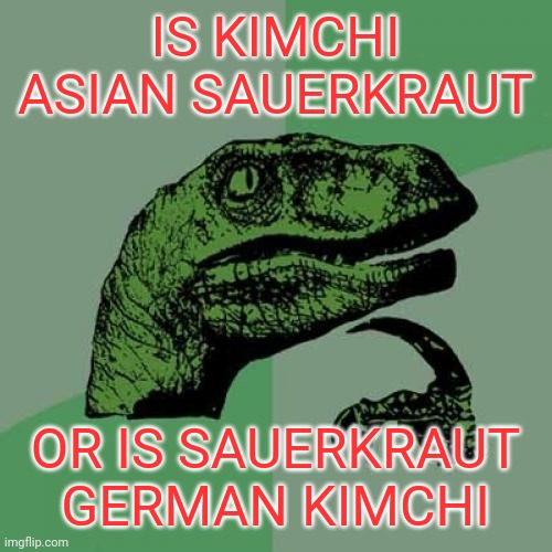 Philosoraptor | IS KIMCHI ASIAN SAUERKRAUT; OR IS SAUERKRAUT GERMAN KIMCHI | image tagged in memes,philosoraptor | made w/ Imgflip meme maker