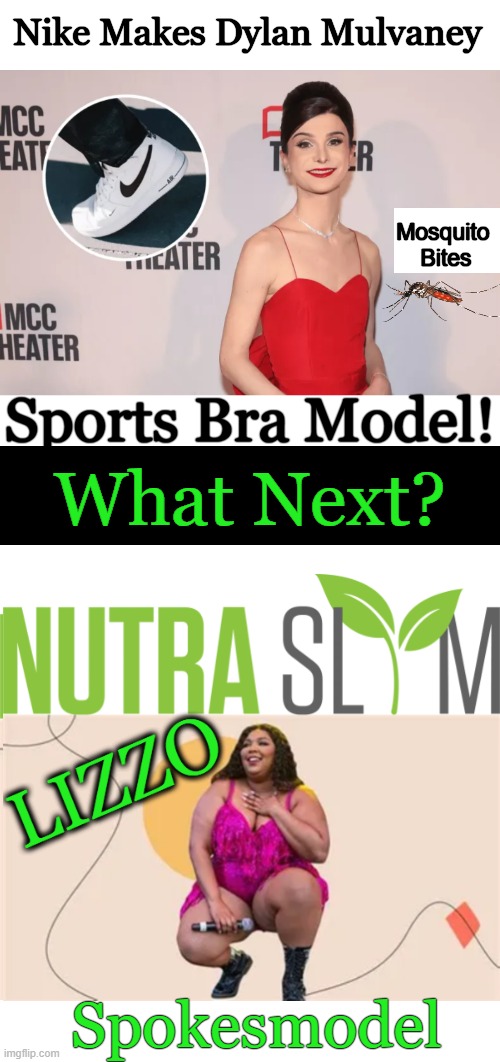 Changing Definition of Role Models | Nike Makes Dylan Mulvaney; Mosquito 
Bites; Sports Bra Model! What Next? Spokesmodel | image tagged in politics,political humor,bud light,fat is thin,opposites,this bud's for you | made w/ Imgflip meme maker