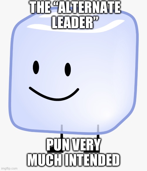 Ice cube BFDI | THE “ALTERNATE LEADER” PUN VERY MUCH INTENDED | image tagged in ice cube bfdi | made w/ Imgflip meme maker