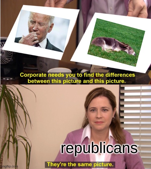 Kinda mean but it's true. | republicans | image tagged in memes,they're the same picture,blank white template,joe biden,funny,there the same picture | made w/ Imgflip meme maker