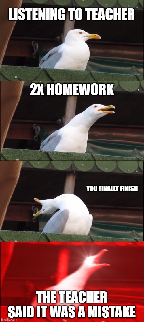 Inhaling Seagull | LISTENING TO TEACHER; 2X HOMEWORK; YOU FINALLY FINISH; THE TEACHER SAID IT WAS A MISTAKE | image tagged in memes,inhaling seagull | made w/ Imgflip meme maker