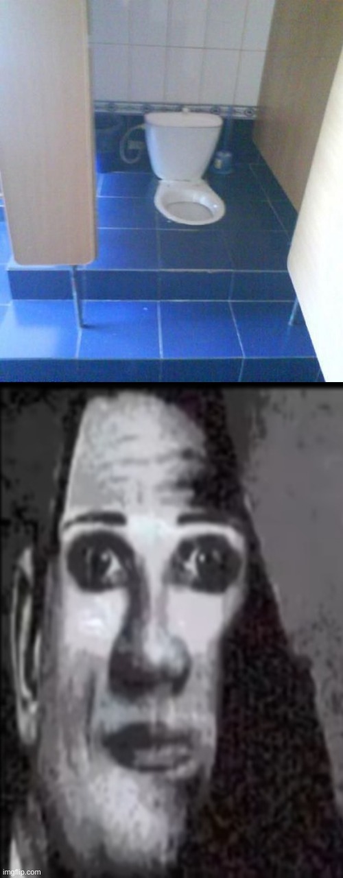 all hail thy floor toilet | image tagged in mr incredible uncanny,you had one job | made w/ Imgflip meme maker