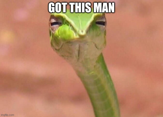 Skeptical snake | GOT THIS MAN | image tagged in skeptical snake | made w/ Imgflip meme maker