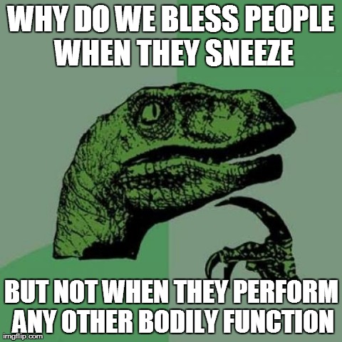 Silly Social Norms | WHY DO WE BLESS PEOPLE WHEN THEY SNEEZE BUT NOT WHEN THEY PERFORM ANY OTHER BODILY FUNCTION | image tagged in memes,philosoraptor | made w/ Imgflip meme maker