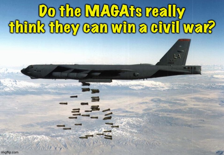 Not likely | Do the MAGAts really think they can win a civil war? | image tagged in bomber | made w/ Imgflip meme maker
