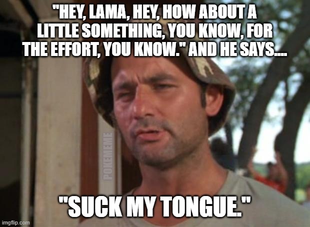 $5 woulda been cool... | "HEY, LAMA, HEY, HOW ABOUT A LITTLE SOMETHING, YOU KNOW, FOR THE EFFORT, YOU KNOW." AND HE SAYS.... POKEMEME; "SUCK MY TONGUE." | image tagged in memes,so i got that goin for me which is nice | made w/ Imgflip meme maker