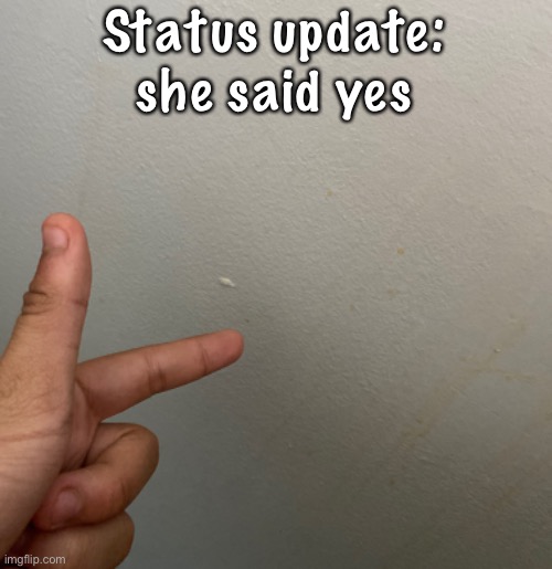 I got a gf now /j | Status update: she said yes | image tagged in balls | made w/ Imgflip meme maker