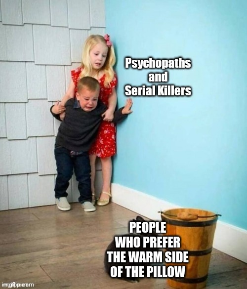 Psychopaths and serial killers | PEOPLE WHO PREFER THE WARM SIDE OF THE PILLOW | image tagged in psychopaths and serial killers | made w/ Imgflip meme maker