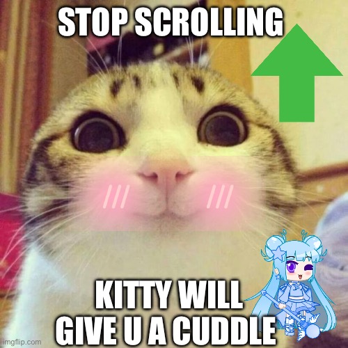 Smiling Cat Meme | STOP SCROLLING; KITTY WILL GIVE U A CUDDLE | image tagged in memes,smiling cat | made w/ Imgflip meme maker