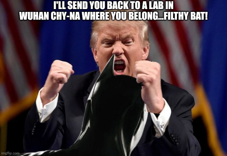 I'LL SEND YOU BACK TO A LAB IN WUHAN CHY-NA WHERE YOU BELONG...FILTHY BAT! | made w/ Imgflip meme maker