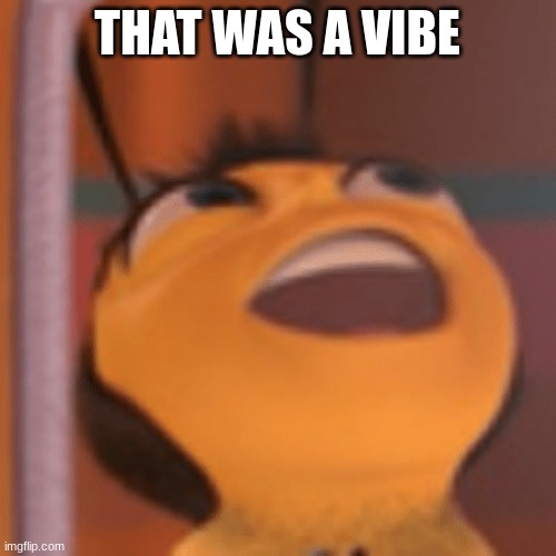 THAT WAS A VIBE | made w/ Imgflip meme maker
