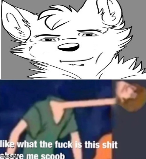 what | image tagged in like what the f ck is this sh t above me scoob,furry,goofy ahh,cursed | made w/ Imgflip meme maker