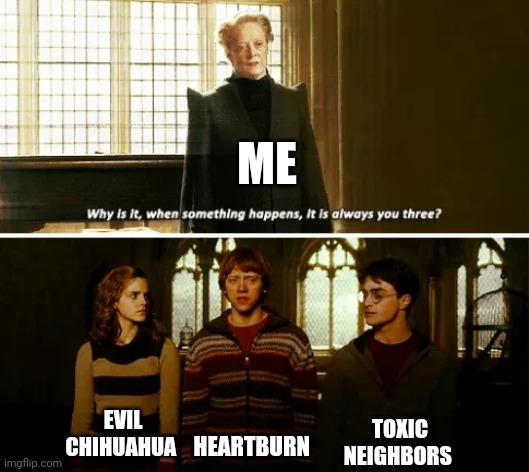 Trio of Suffering | ME; TOXIC NEIGHBORS; EVIL CHIHUAHUA; HEARTBURN | image tagged in always you three | made w/ Imgflip meme maker