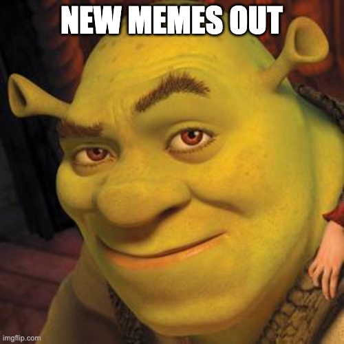 Shrek Sexy Face | NEW MEMES OUT | image tagged in shrek sexy face | made w/ Imgflip meme maker