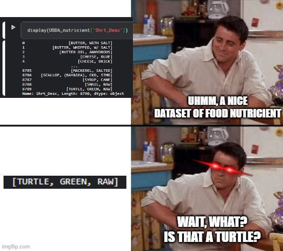 Surprised Joey | UHMM, A NICE DATASET OF FOOD NUTRICIENT; WAIT, WHAT? IS THAT A TURTLE? | image tagged in surprised joey | made w/ Imgflip meme maker
