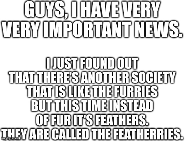 important news! | GUYS, I HAVE VERY VERY IMPORTANT NEWS. I JUST FOUND OUT THAT THERE'S ANOTHER SOCIETY THAT IS LIKE THE FURRIES BUT THIS TIME INSTEAD OF FUR IT'S FEATHERS. THEY ARE CALLED THE FEATHERRIES. | made w/ Imgflip meme maker