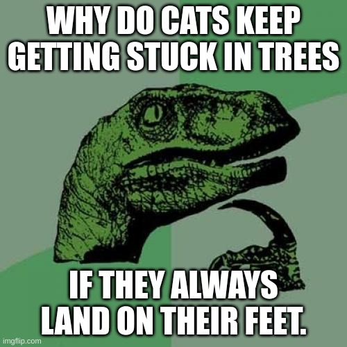 Philosoraptor Meme | WHY DO CATS KEEP GETTING STUCK IN TREES; IF THEY ALWAYS LAND ON THEIR FEET. | image tagged in memes,philosoraptor | made w/ Imgflip meme maker