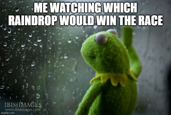 kermit window | ME WATCHING WHICH RAINDROP WOULD WIN THE RACE | image tagged in kermit window | made w/ Imgflip meme maker