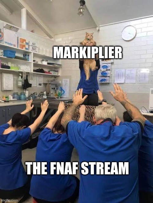 lol | MARKIPLIER; THE FNAF STREAM | image tagged in people worshipping the cat | made w/ Imgflip meme maker