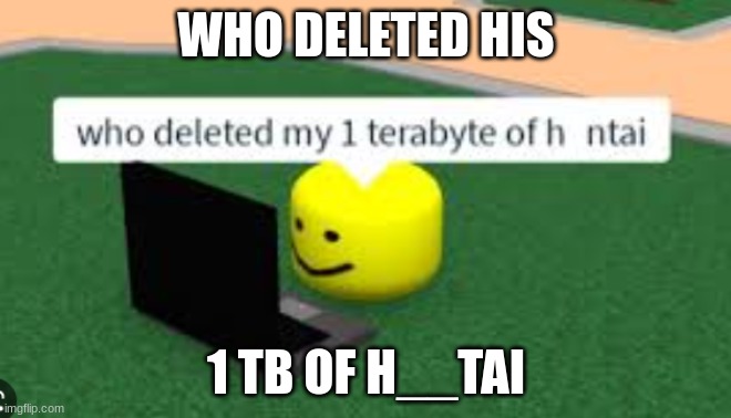 why | WHO DELETED HIS; 1 TB OF H__TAI | image tagged in roblox | made w/ Imgflip meme maker