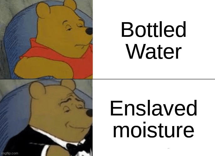 ah yes, enslaved misture. | Bottled Water; Enslaved moisture | image tagged in memes,tuxedo winnie the pooh | made w/ Imgflip meme maker