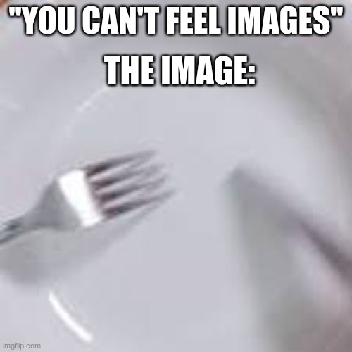 The worse sound ever | THE IMAGE:; "YOU CAN'T FEEL IMAGES" | image tagged in worst mistake of my life | made w/ Imgflip meme maker