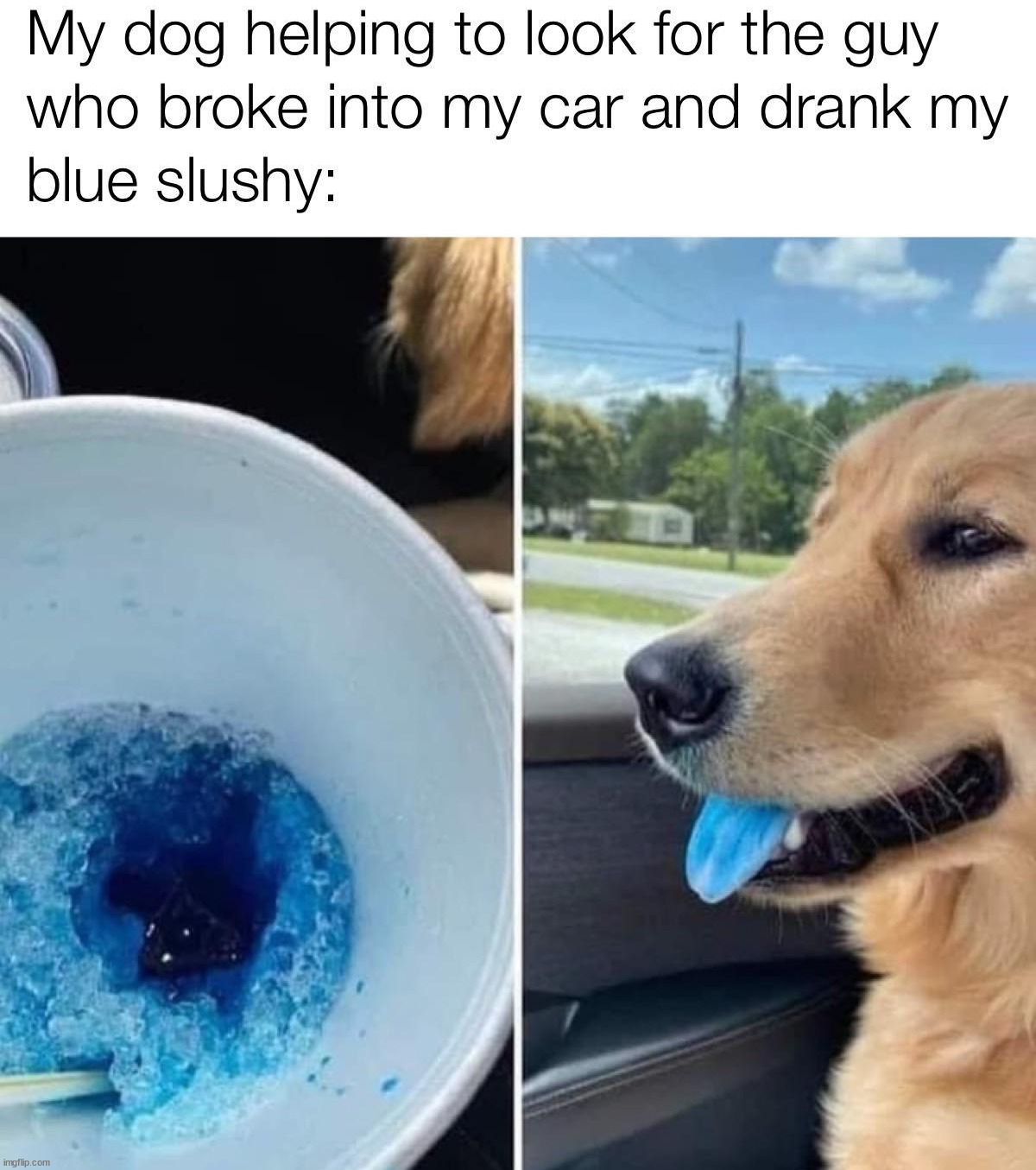 image tagged in dogs | made w/ Imgflip meme maker