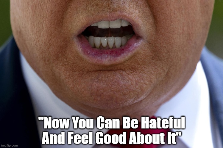 "Now You Can Be Hateful, And Feel Good About It" | "Now You Can Be Hateful And Feel Good About It" | image tagged in trump,trump cult,hatred,hate,hatefulness,cruelty | made w/ Imgflip meme maker