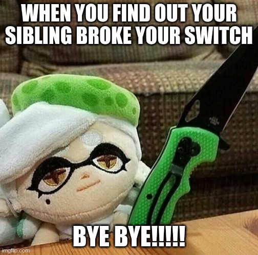 Marie plush with a knife | WHEN YOU FIND OUT YOUR SIBLING BROKE YOUR SWITCH; BYE BYE!!!!! | image tagged in marie plush with a knife | made w/ Imgflip meme maker