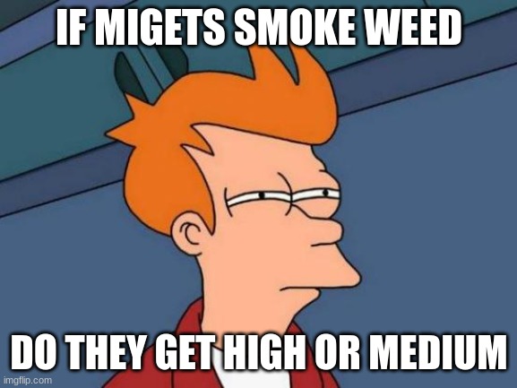 ???? | IF MIGETS SMOKE WEED; DO THEY GET HIGH OR MEDIUM | image tagged in memes,futurama fry | made w/ Imgflip meme maker