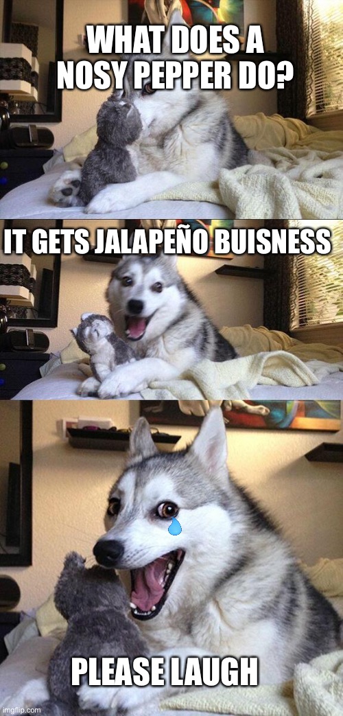 Bad Pun Dog | WHAT DOES A NOSY PEPPER DO? IT GETS JALAPEÑO BUISNESS; PLEASE LAUGH | image tagged in memes,bad pun dog | made w/ Imgflip meme maker