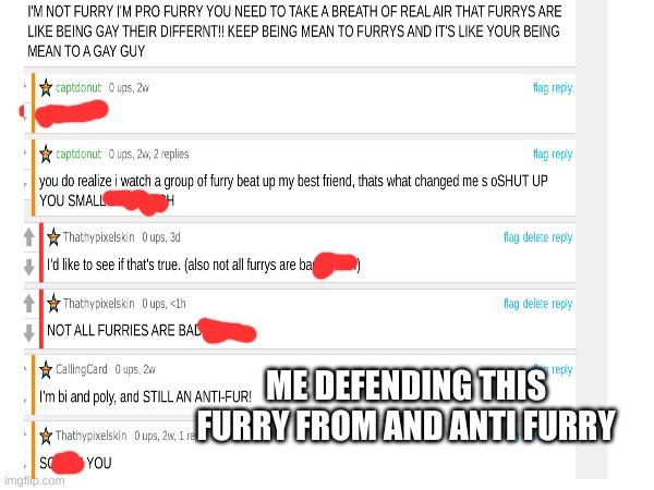 me defending a furry (proof I'm not anti-furry like everyone's saying) | ME DEFENDING THIS FURRY FROM AND ANTI FURRY | image tagged in proof,me defending a furry | made w/ Imgflip meme maker