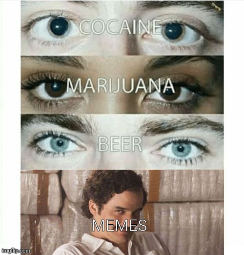 I can quit anytime I want | MEMES | image tagged in cocaine,marijuana,beer,memes,eye effect,narcos | made w/ Imgflip meme maker
