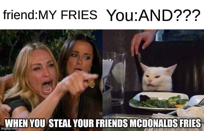 Woman Yelling At Cat | friend:MY FRIES; You:AND??? WHEN YOU  STEAL YOUR FRIENDS MCDONALDS FRIES | image tagged in memes,woman yelling at cat | made w/ Imgflip meme maker