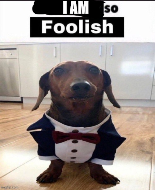 This fellow is so foolish | I AM | image tagged in this fellow is so foolish | made w/ Imgflip meme maker