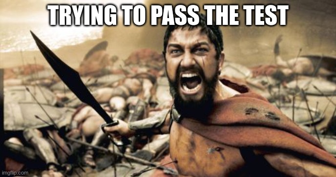 Sparta Leonidas | TRYING TO PASS THE TEST | image tagged in memes,sparta leonidas | made w/ Imgflip meme maker