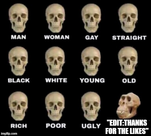 idiot skull | "EDIT:THANKS FOR THE LIKES" | image tagged in idiot skull | made w/ Imgflip meme maker