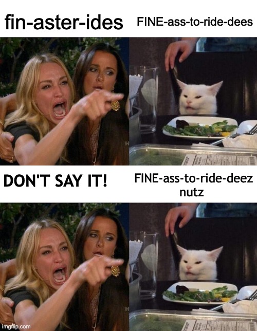 Fine Ass | FINE-ass-to-ride-dees; fin-aster-ides; FINE-ass-to-ride-deez nutz; DON'T SAY IT! | image tagged in memes,woman yelling at cat,finasteride,pharmacy | made w/ Imgflip meme maker