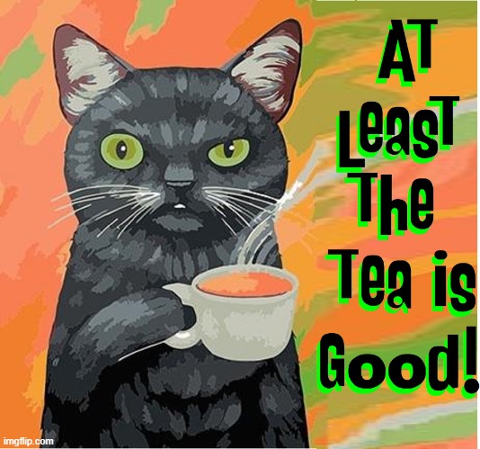 Cynical Cat likes his Tea Hot! | image tagged in vince vance,cats,i love cats,meow,funny cat memes,comics/cartoons | made w/ Imgflip meme maker