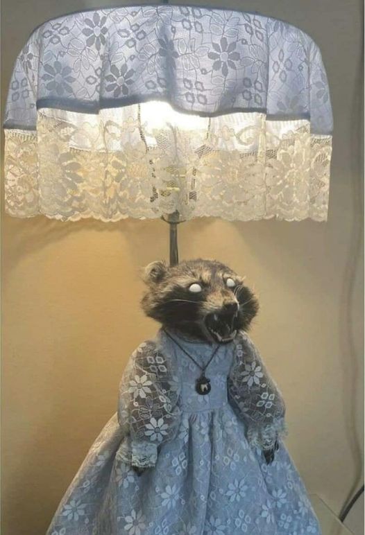 Raccoon light with a dress Blank Meme Template