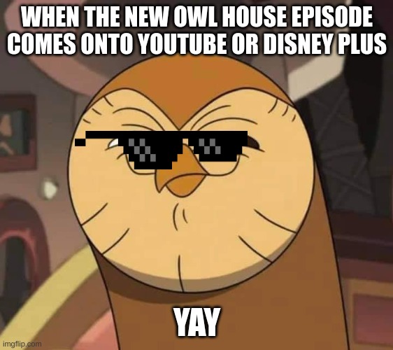 Hooty like | WHEN THE NEW OWL HOUSE EPISODE COMES ONTO YOUTUBE OR DISNEY PLUS; YAY | image tagged in hooty like | made w/ Imgflip meme maker