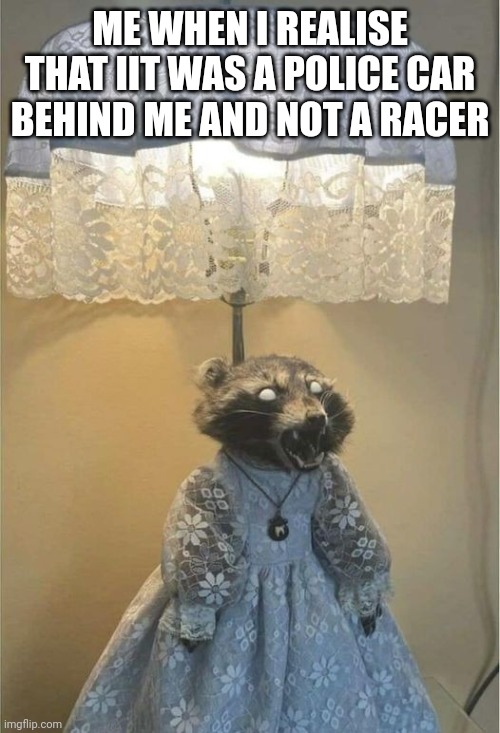 Oh sh*t | ME WHEN I REALISE THAT IIT WAS A POLICE CAR BEHIND ME AND NOT A RACER | image tagged in raccoon light with a dress | made w/ Imgflip meme maker
