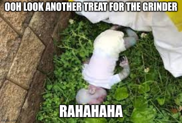 dead baby | OOH LOOK ANOTHER TREAT FOR THE GRINDER; RAHAHAHA | image tagged in dead baby,memes,funny,why are you reading this,stop reading the tags | made w/ Imgflip meme maker