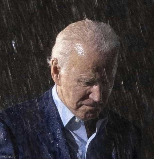 Biden sad | image tagged in biden sad | made w/ Imgflip meme maker